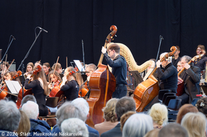 Ein Blick in die Cello-Bassgruppe.